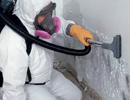 Best Forensic Mold Investigation  in Lake Como, NJ